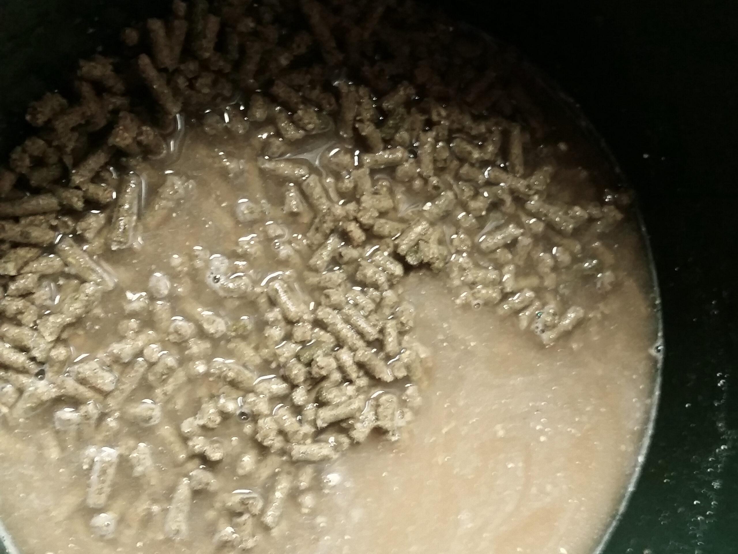hay pellets horse feed soaking in a green bucket with added water