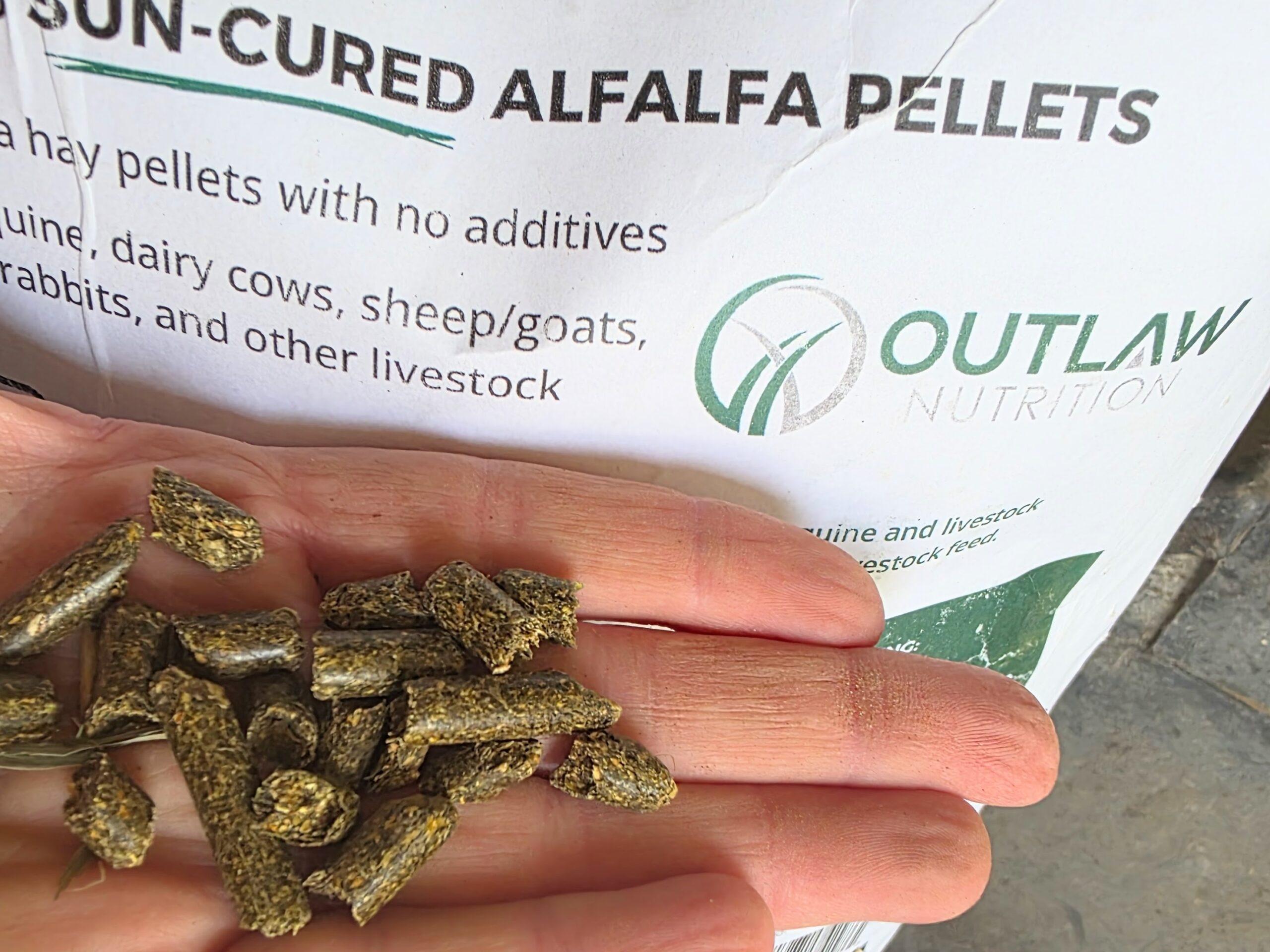 alfalfa pellets in front of the bag labeling them as sun-cured 