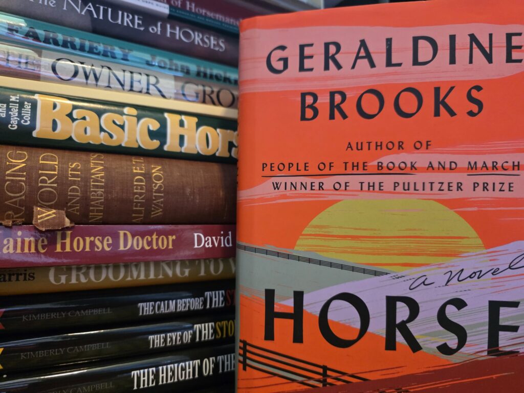 stack of horse books