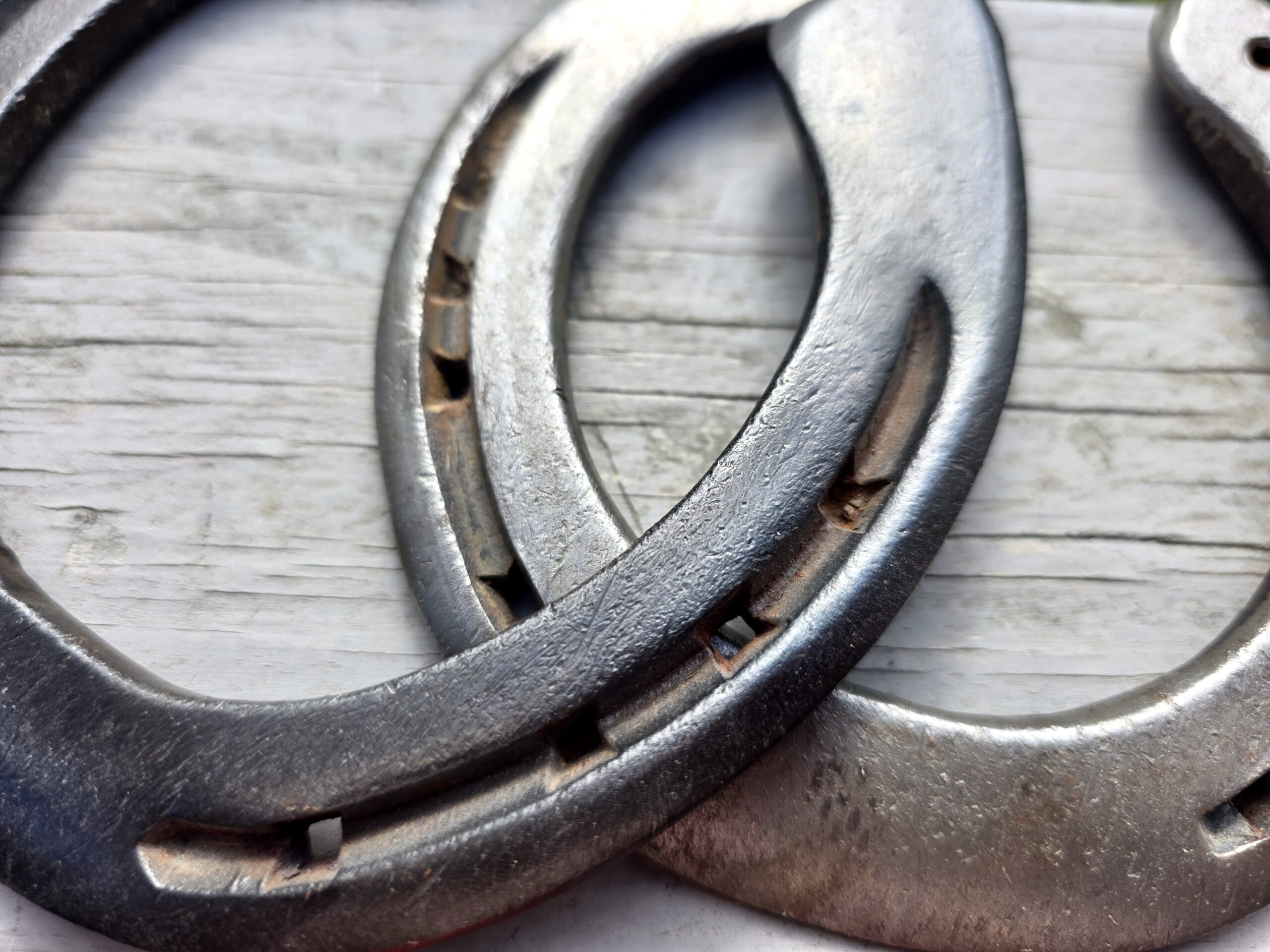 preserved horseshoes showing some rust in the grooves and nail holes