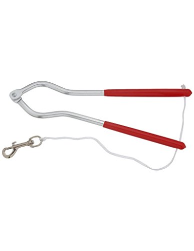 J.T. INTERNATIONAL Twitch