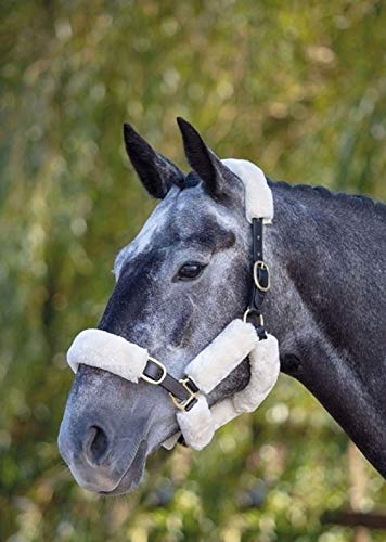 Shires SupaFleece Halter Set