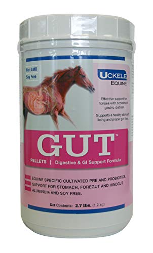 Uckele Gut Pellets Horse Supplement - Equine Vitamin & Mineral Supplement for Healthy Digestion - 2.7 pound