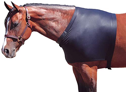 Sleazy Lycra Shoulder Guard Medium Royal Blue