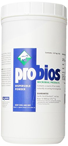 Probios® Dispersable Powder 5lb - Probiotics for horses
