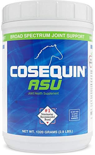 Cosequin ASU Joint Health Supplement  - Powder with Glucosamine, Chondroitin, ASU, and MSM, 1320 Grams