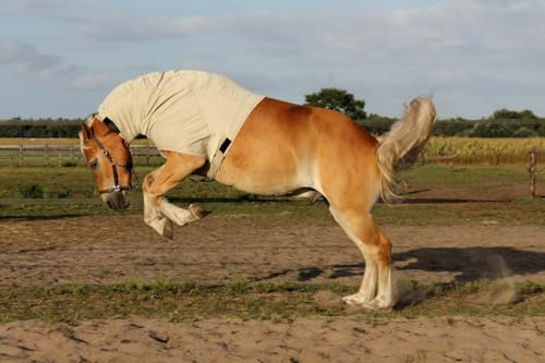 Headless Sweet Itch Horse Hood by Snuggy Hoods - Zip Version - 8 Sizes, 3 Colors