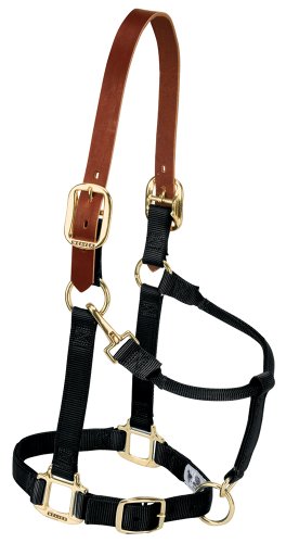 Weaver Leather Nylon Adjustable Breakaway Horse Halter, Average, Black