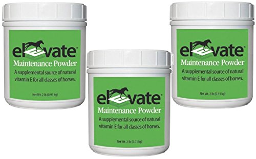 KPP Elevate Maintenance Powder Vitamin E Supplement for Horses, 2 lb