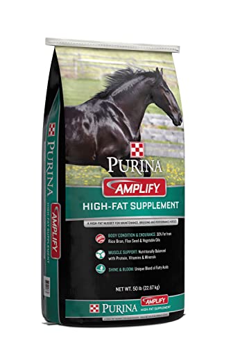 Purina, Amplify Equine, High-Fat Horse Supplement for Maintenance, Breeding, & Performance Horses, 50 lbs
