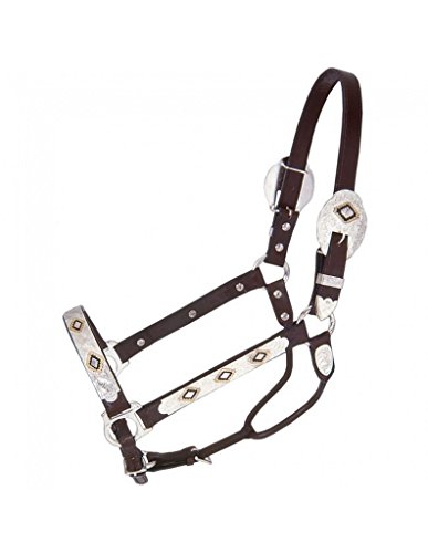 Royal King Gold and Black Inlay Show Halter