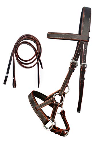 Leather Bitless Bridle, Sidepull