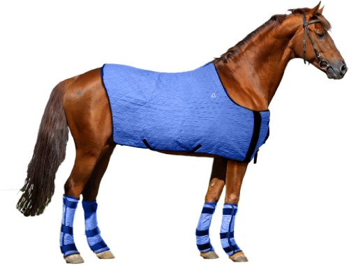 HyperKewl Evaporative Cooling Horse Blanket, Large, Blue