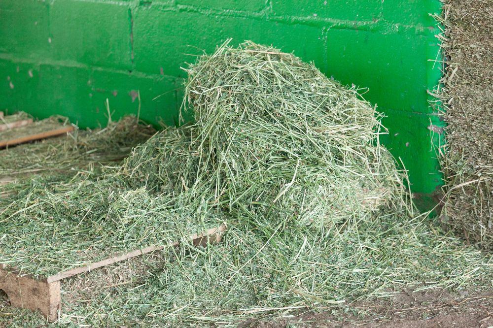 remnants of alfalfa hay on a wood pallet for safe storage off the ground