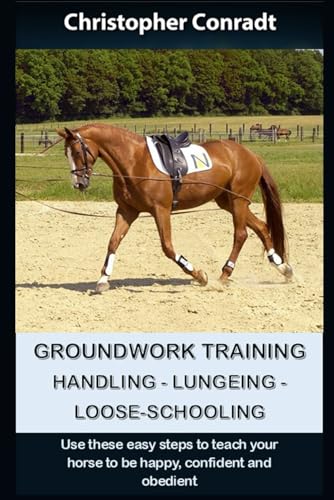 Groundwork Training - Handling - Lungeing - Loose-Schooling