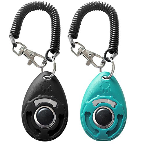 Training Clicker with Wrist Strap