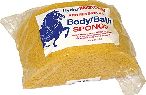 Honeycomb Body Sponge Large