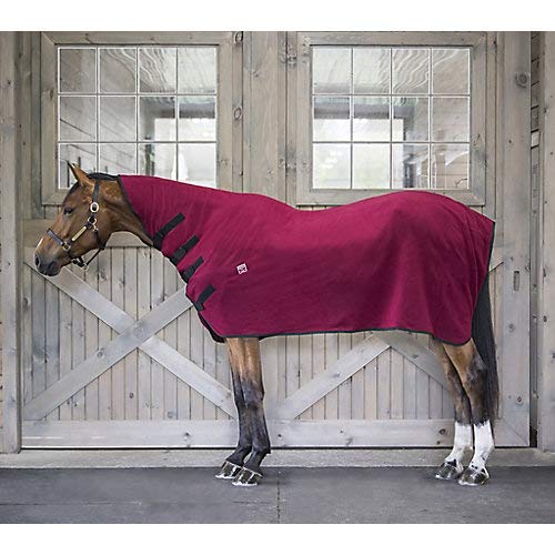 WikSmart Premium Cooler XS Burgundy