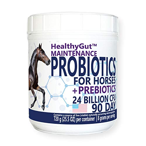 Equa Holistics HealthyGut™ Probiotics  (90 Days)