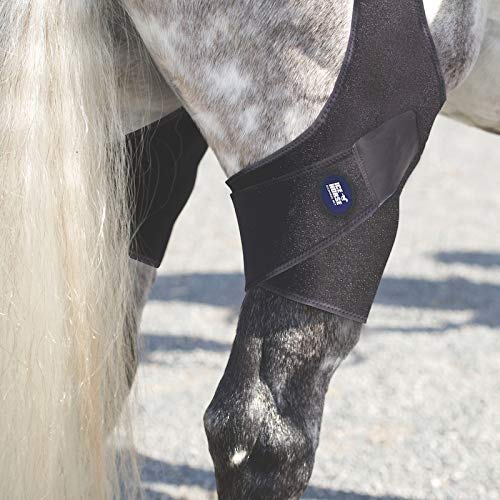 Ice Horse Pair of Stifle Wraps for Equine Therapy - Comes with 4 Ice Packs