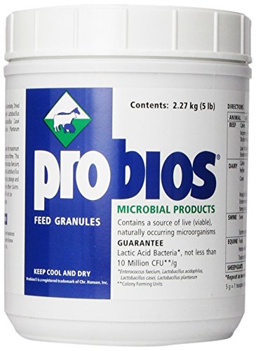 Probios Feed Granule for Horses, 5-Pound