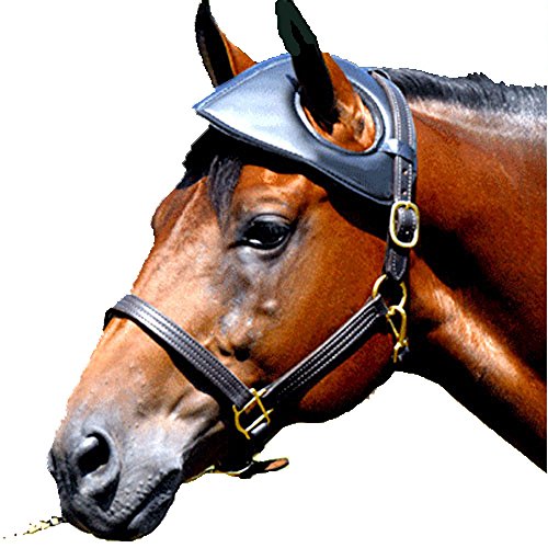 Intrepid International Leather Head Bumper