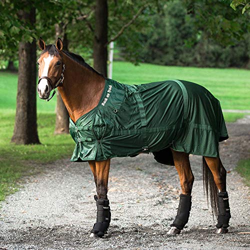 Back on Track Therapeutic Horse Mesh Rug (Hunter Green, 78-Inch)