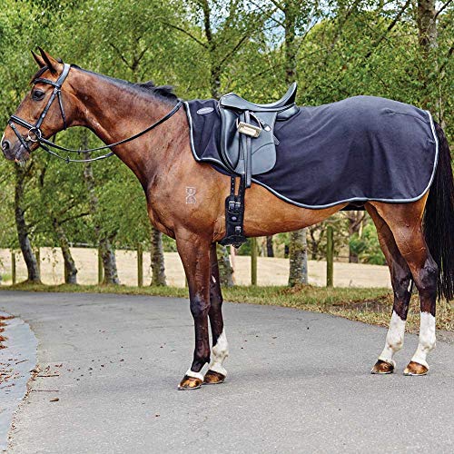 WeatherBeeta Anti Static Fleece Quarter Sheet