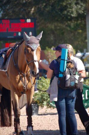 groom with backpack and show horse 