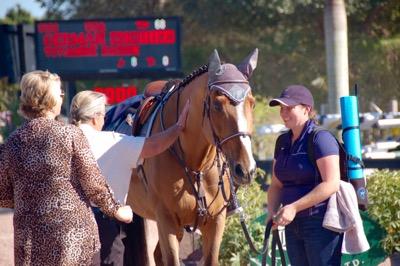 judge inspection at a grooms class
