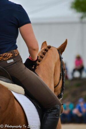 chestnut horse braids 