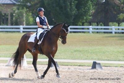 braids on a dressage horse in the warm up ring