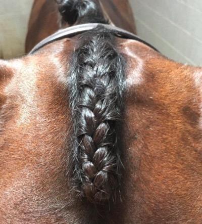 forelock braids