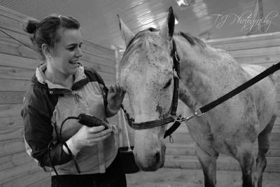 clipping a horse face