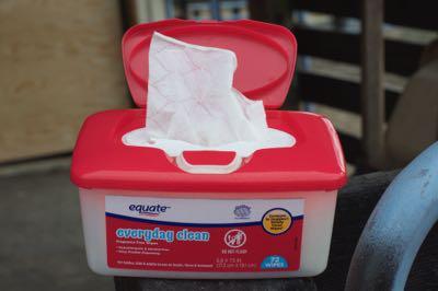 baby-wipes-for-horse