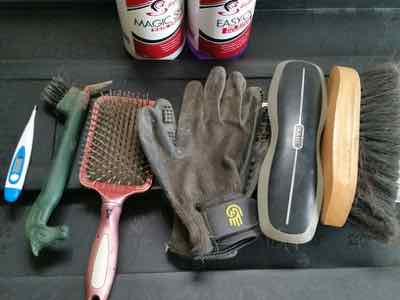grooming brushes and thermometer and shampoo