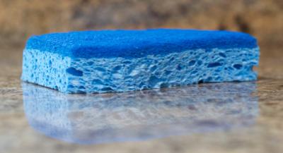 blue sponge