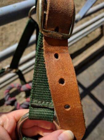 breakaway leather crown piece