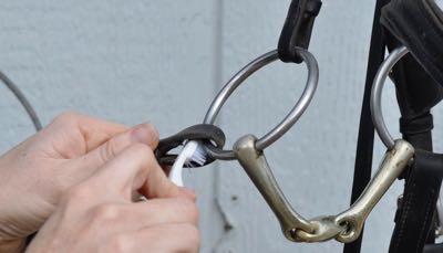 toothbrush cleaning inside the bit loop of leather