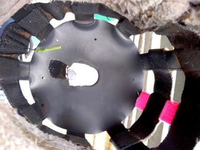 cheap grazing muzzle with hole cut out more