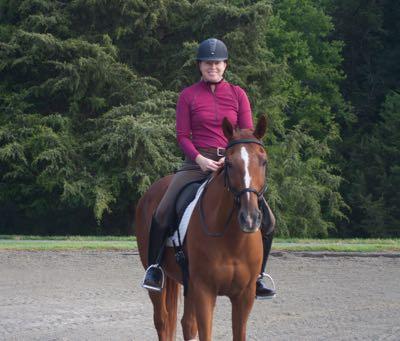 rider on chestnut horse with micklem bridle without a bit