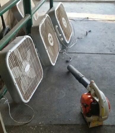 horse stall fans and snow blower
