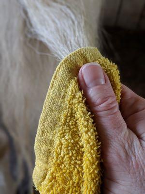damp towel on a dirty tail