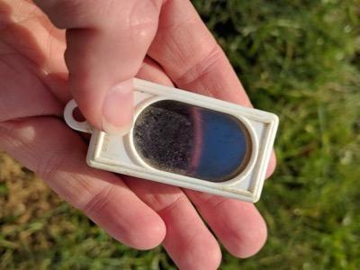 horse training clicker