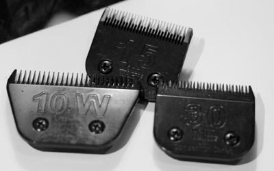 three detachable clipper blades