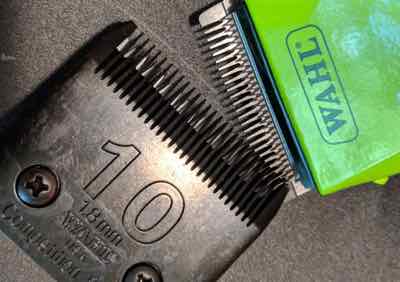clipper blade number 10 and green trimmers
