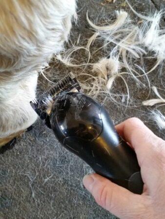 power grip clippers on fetlocks