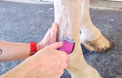 clipping lower leg tendons