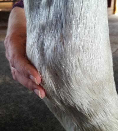 digital pulse location