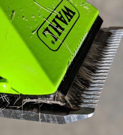 hair on the blades and trimmers